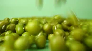 升格绿豆粗粮五谷杂粮豆子食材视频的预览图